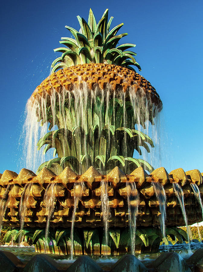 Pineapple Fountain Charleston Photograph
