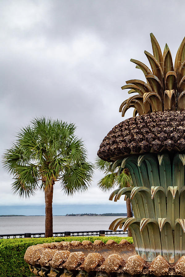 Pineapple Fountain Photograph by Cindy Robinson