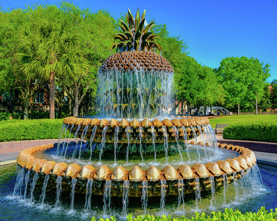 Pineapple Fountain Photograph by Clyn Robinson Fine Art America
