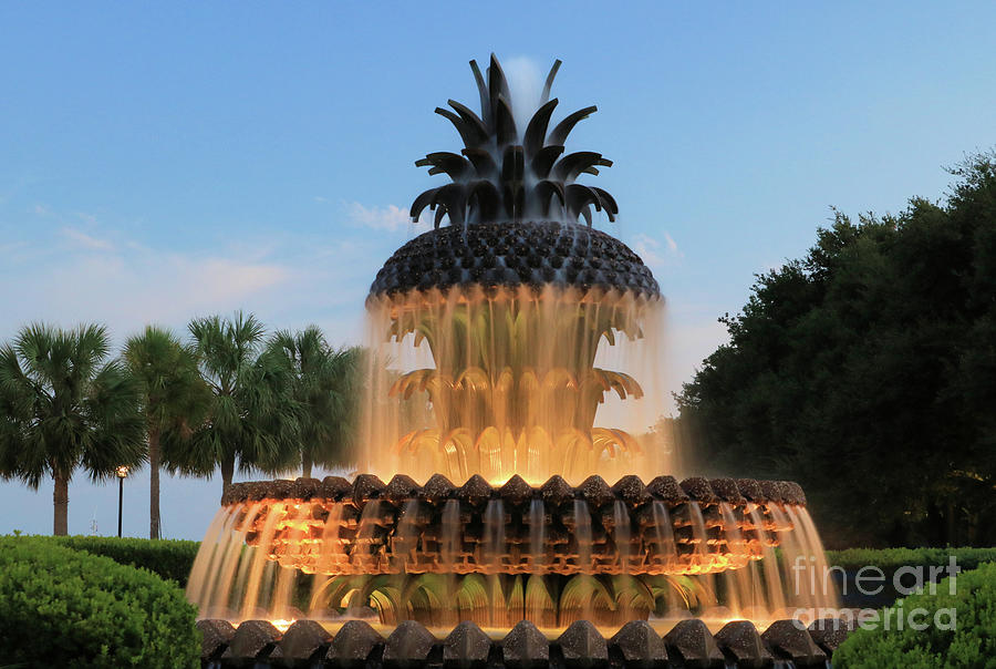 Pineapple Fountain Photograph by Cortney Price