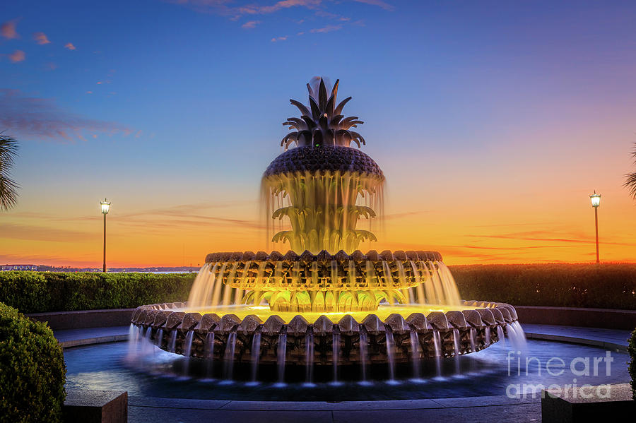 Pineapple Fountain Glow Photograph by Inge Johnsson