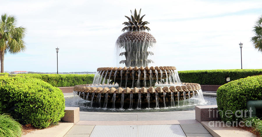 Pineapple Fountain in Waterfront Park 9775 Photograph by Jack Schultz