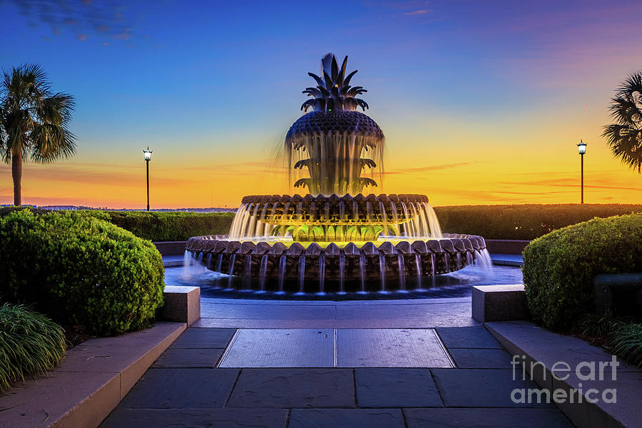 Pineapple Fountain Twilight Photograph by Inge Johnsson