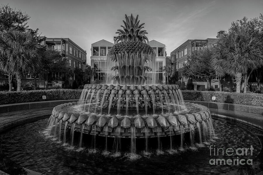 Pineapple Fountain - Waterfront Park - Black and White Photograph by Dale Powell