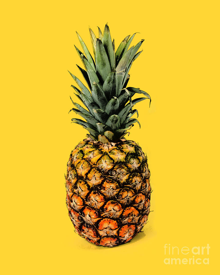 Pineapple Digital Art - Pineapple fruit by Madame Memento