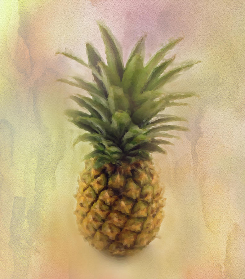 Pineapple Fruit Watercolor Mixed Media by Sandi OReilly