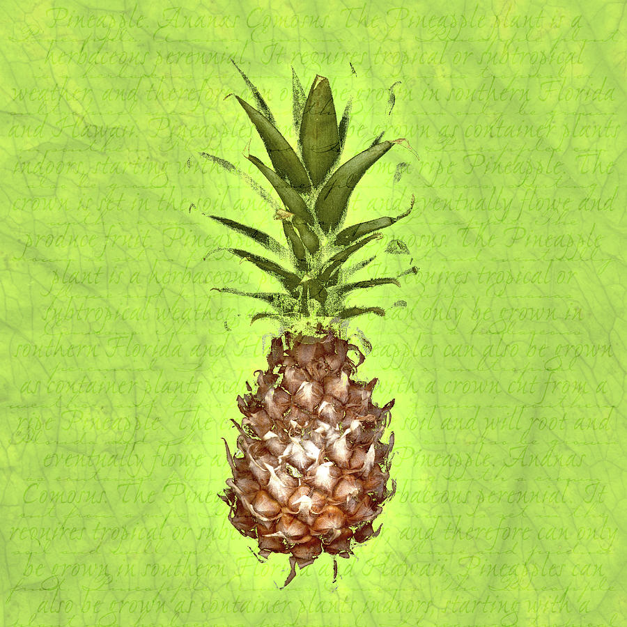 Pineapple on Leaf Background Drawing by Jeff Venier