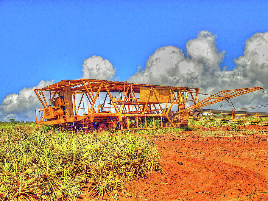 Pineapple Picker Photograph by Rick Harmon Shutterricky Photography Collections And Pineapple Picker Photograph by Rick Harmon Shutterricky Photography Collections And