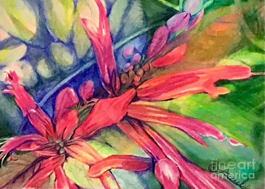Pineapple Sage Blossoms Painting by Laurel Adams