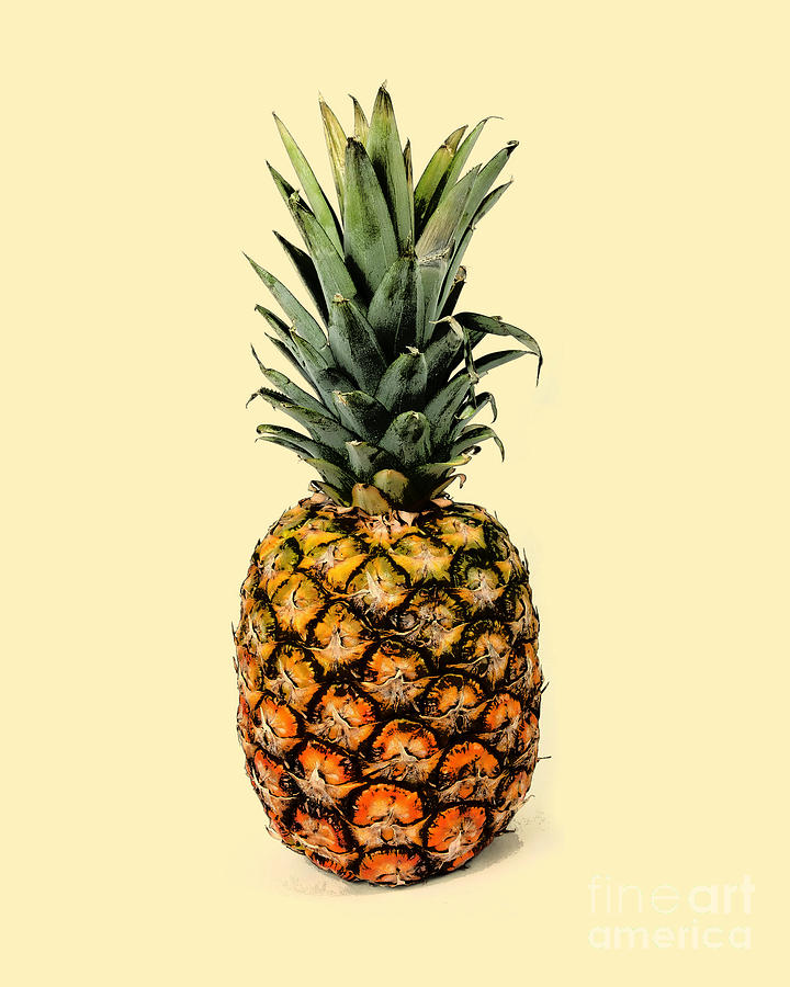 Pineapple Digital Art - Pineapple summer fruit by Madame Memento