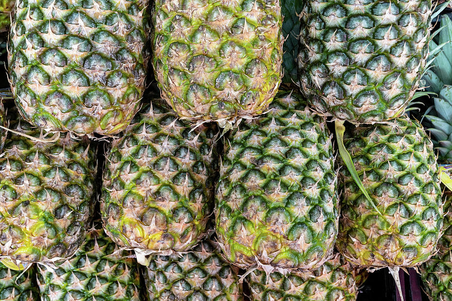 Pineapples displayed at a Market Photograph by Bradford Martin