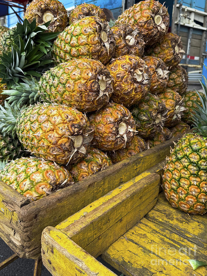 Pineapples for Sale Photograph by Leslie Brashear Pineapples for Sale Photograph by Leslie Brashear