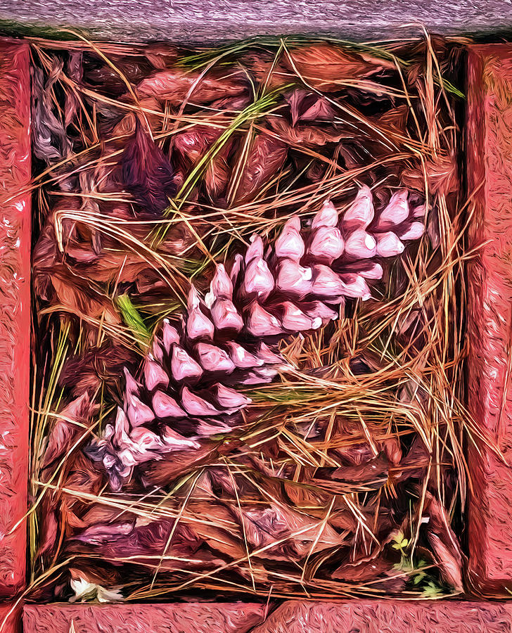 Pine cone And Leaves In The Walkway Opening Photograph by Gary Slawsky