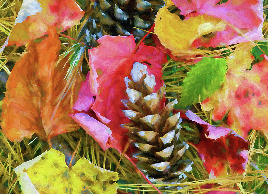 Pinecone and the Forest Floor in Fall X110 Photograph by Rich Franco