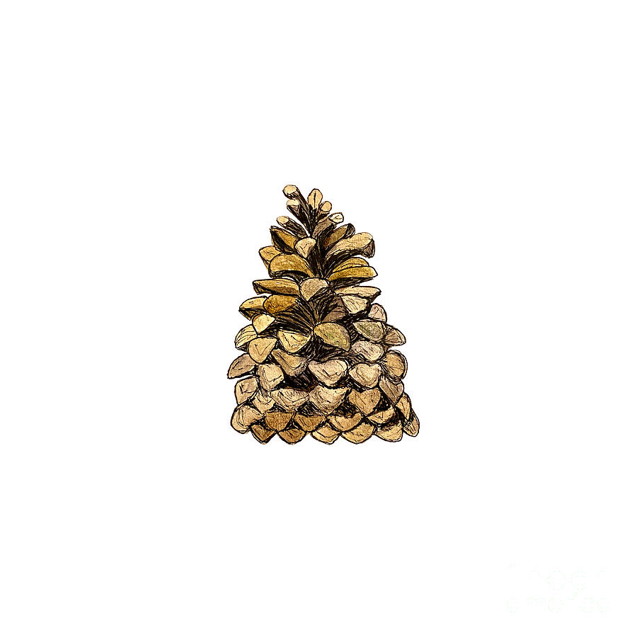 Pinecone Mixed Media by Lisa Neuman - Fine Art America