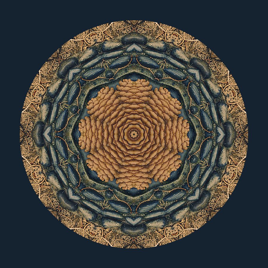 Pinecone Mandala Digital Art