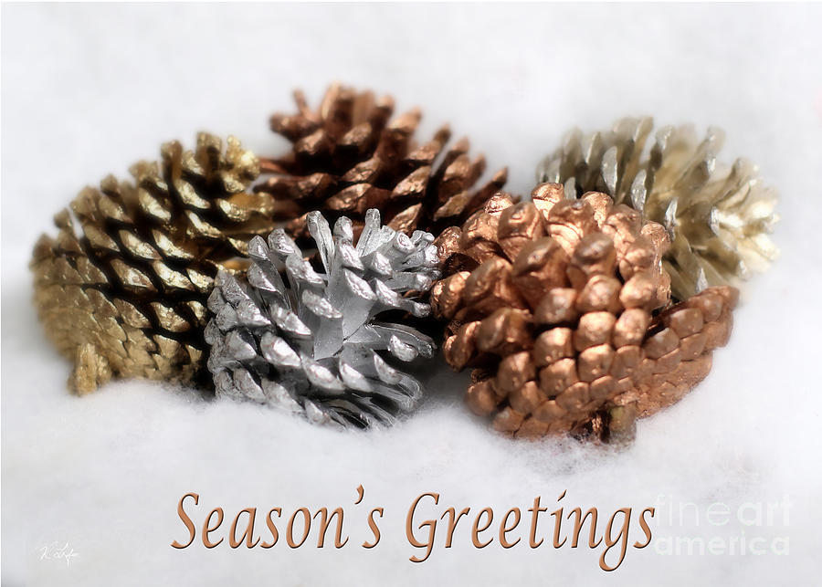 Nature Photograph - Pinecones by Rosanna Life Nature Photograph - Pinecones by Rosanna Life