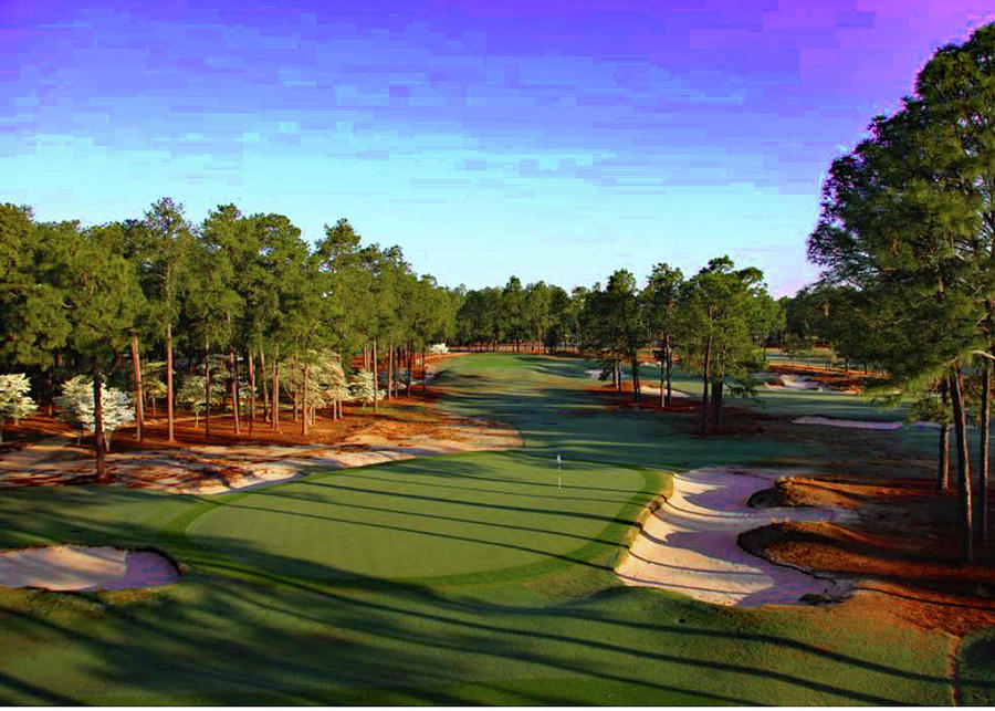 Pinehurst #2 Photograph by Imagery-at- Work