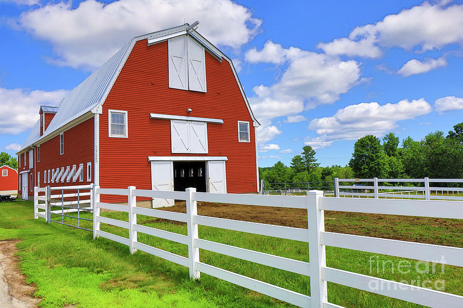 Pineland Red Barn Maine Photograph by Edward Fielding