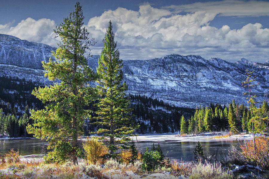 Pines in Early Snow with Mountains and Lake Photograph by Randall Nyhof