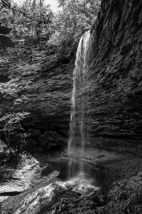 Piney Creek Falls Photograph by Thomas Whitehurst