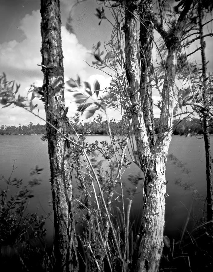 Pinhole Pine Glades Lake - 1- Everglades Photograph by Rudy Umans