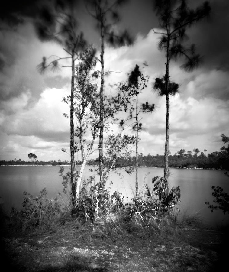 Pinhole Pine Glades Lake - 2- Everglades Photograph by Rudy Umans