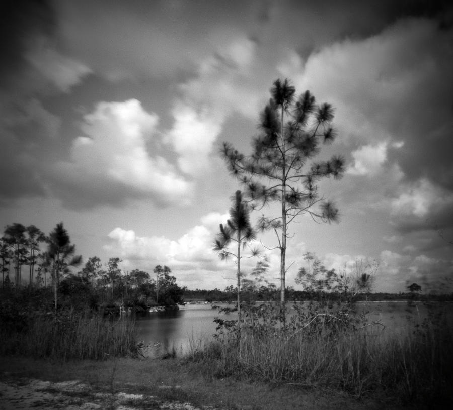 Pinhole Pine Glades Lake - Everglades Photograph by Rudy Umans