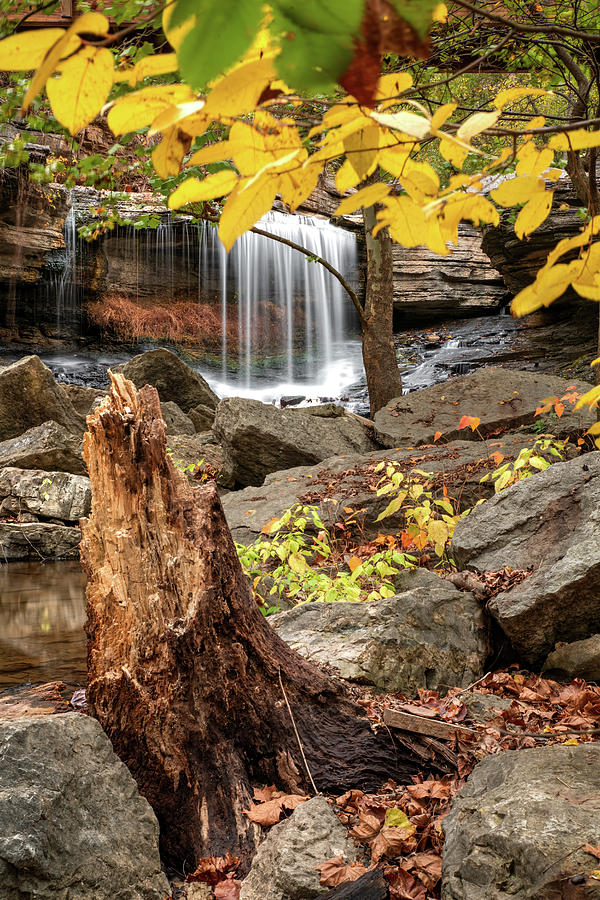 Pinion Creek Falls Autumn Landscape in Bella Vista Arkansas Photograph by Gregory Ballos