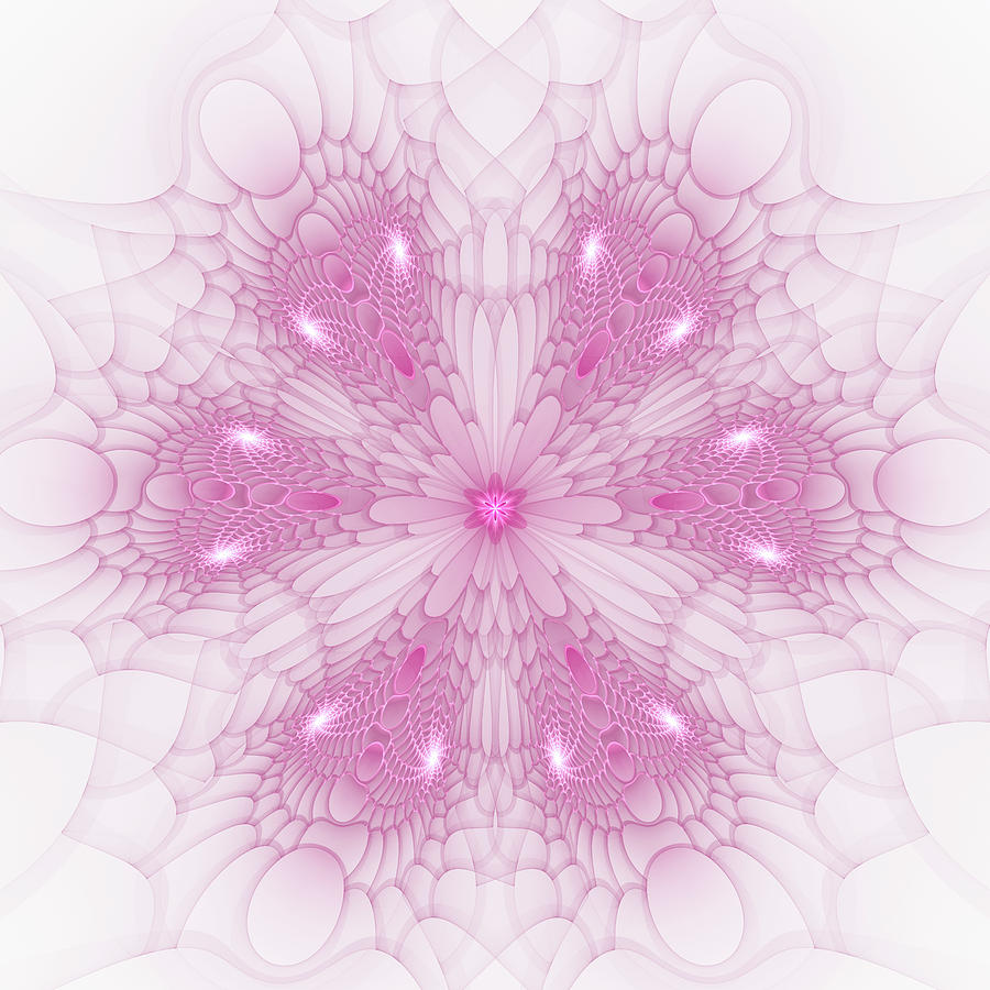 Pink Abstract Fractal Art Mandala Style Digital Art by Matthias Hauser