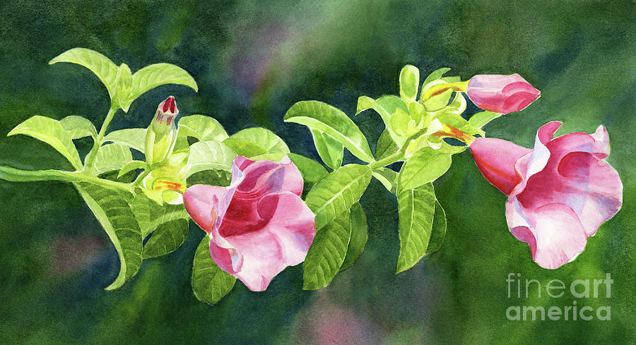 Pink Allamanda Flowers with Textured Background Painting by Sharon Freeman