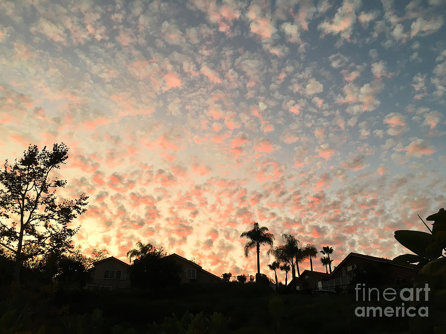 Pink Altocumulus Sunset in California Photograph by Brian Watt