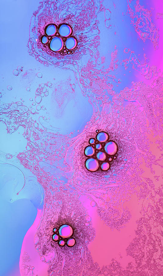 Pink And Blue Bubbles Photograph by Elvira Peretsman