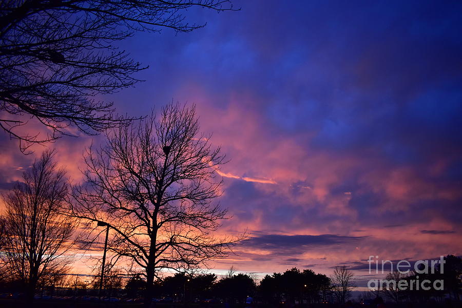 Pink and Blue Sunset Photograph by Bailey Maier