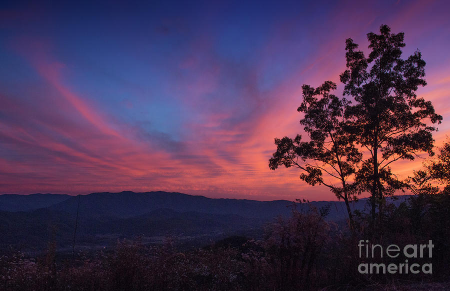 Pink and Blue Sunset Photograph by Shari Jardina