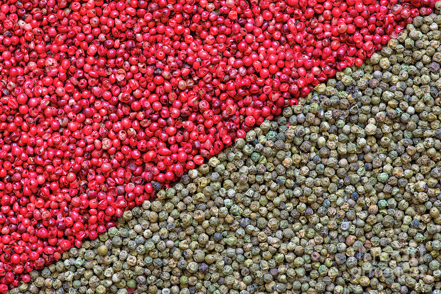 Pink and Green Peppercorns Photograph by Tim Gainey