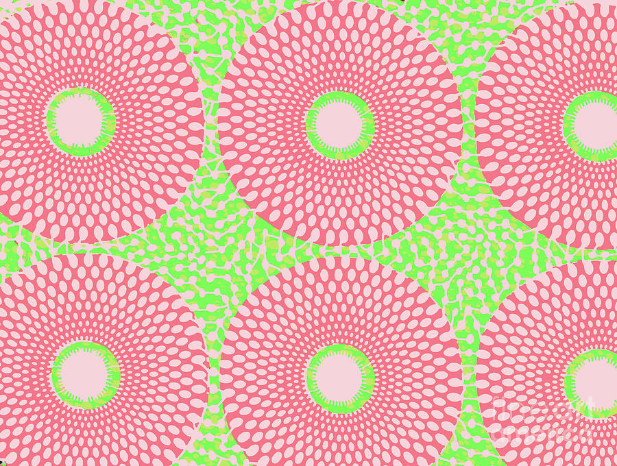 Pink And Green Digital Art by Scheme Of Things Graphics