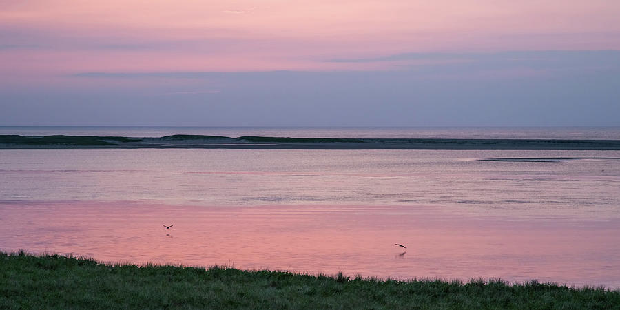 Pink and Lavender Sunrise Over Monomoy Island Photograph by Brooke T Ryan