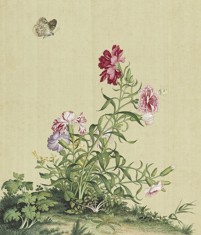 Pink and purple carnations and butterfly - Chinese flower paintings Painting by Giuseppe Castiglione Lang Shining