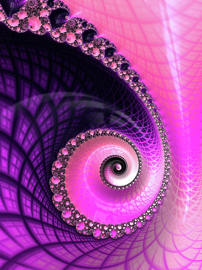 Pink and Purple Fractal Spiral Luxe and Glossy Digital Art by Matthias Hauser