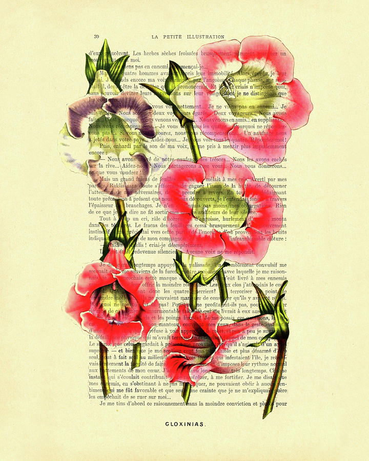 Flower Digital Art - Pink and purple gloxinia art by Madame Memento