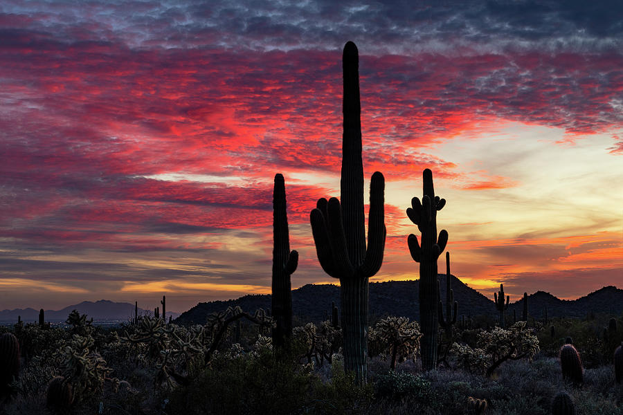 Pink And Red Desert Skies Photograph by Saija Lehtonen - Fine Art America