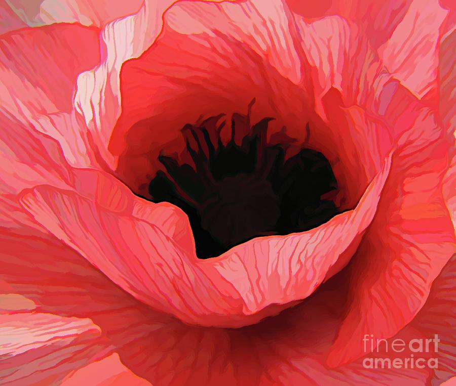 Pink and Salmon Poppy Flower Macro with Abstract Acrylic Effect Photograph by Rose Santuci-Sofranko