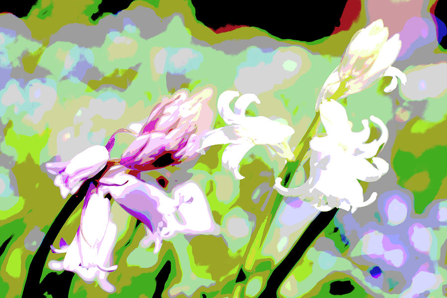 Pink and white bells amongst bluebells abstract Photograph by Nicholas Henfrey