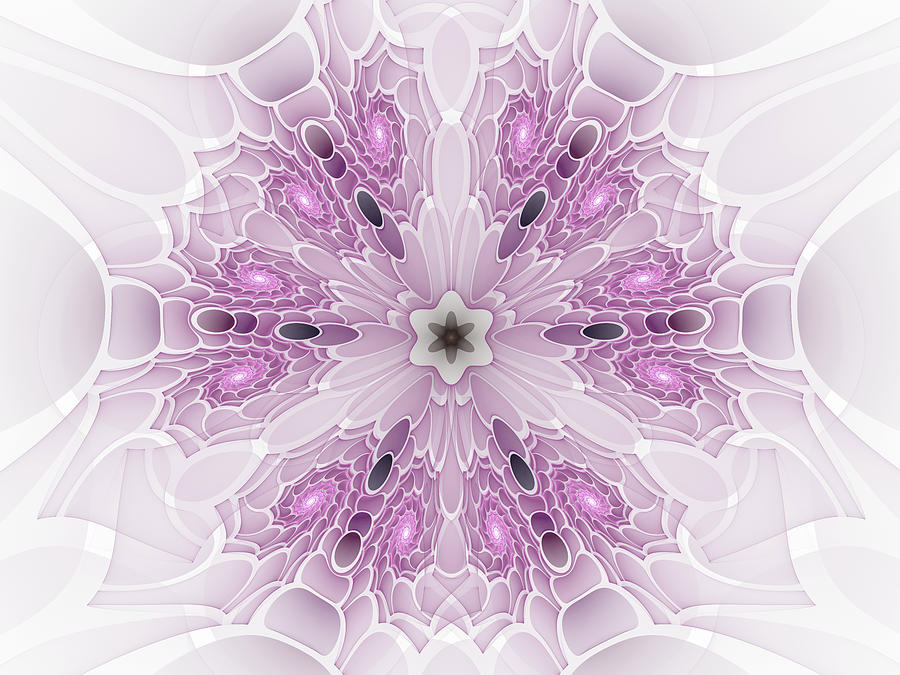 Pink and White Decorative Fractal Digital Art by Matthias Hauser