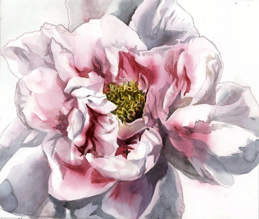 Pink And White Peony Painting by Alfred Ng