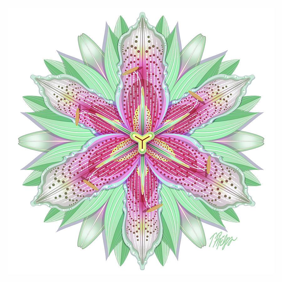 Pink and White Tiger Lily Mandala Digital Art by Tim Phelps