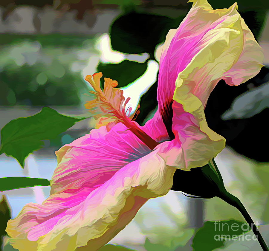 Pink and Yellow Hibiscus Macro Abstract Acrylic Effect Photograph by Rose Santuci-Sofranko