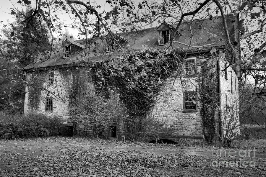 Fall Photograph - Pink At The Mill Black And White by Adam Jewell