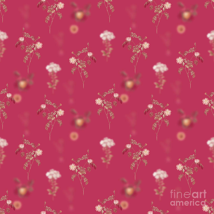Pink Austrian Copper Rose Botanical Seamless Pattern In Viva Magenta N.1026 Mixed Media